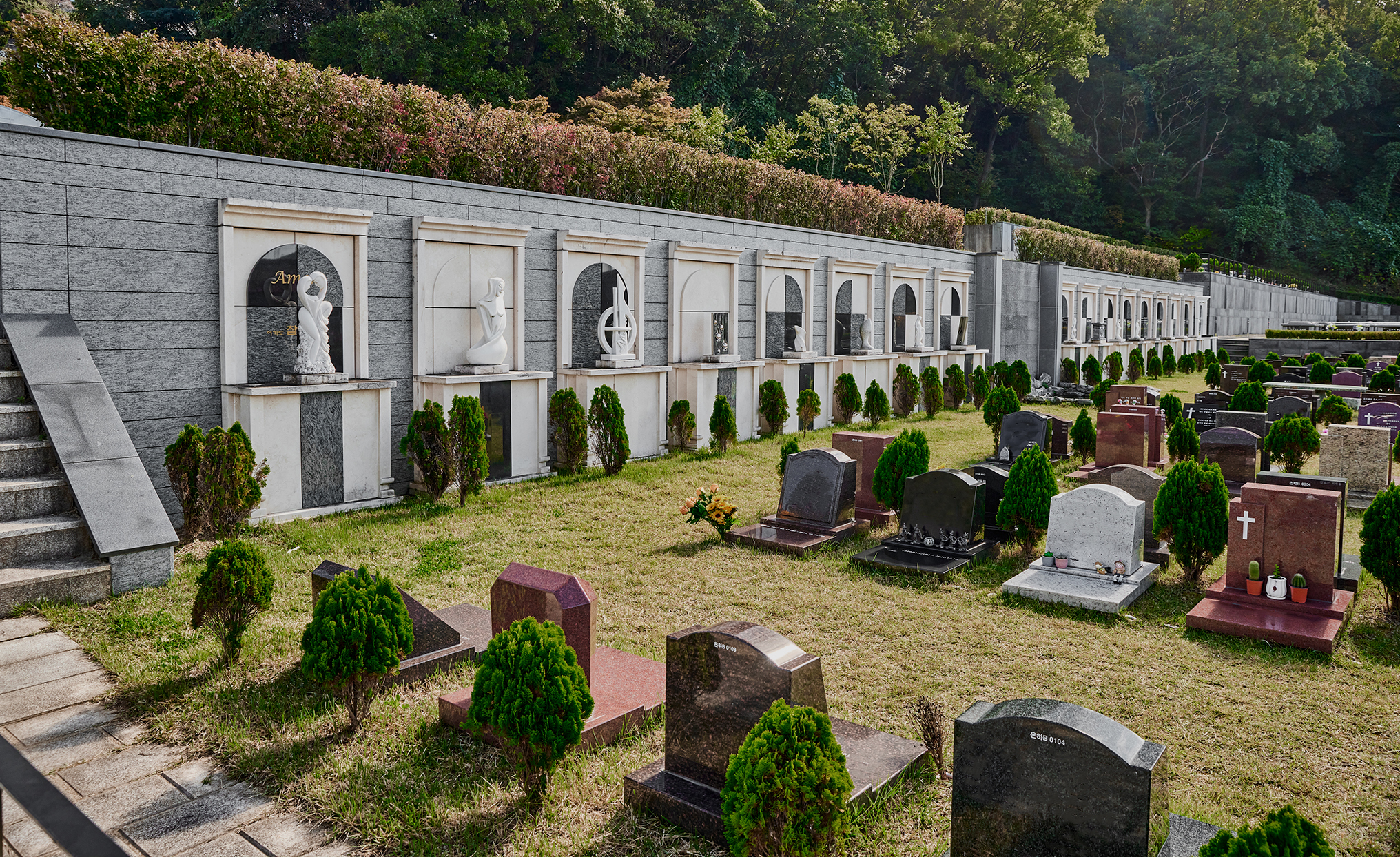 자하연 분당전경