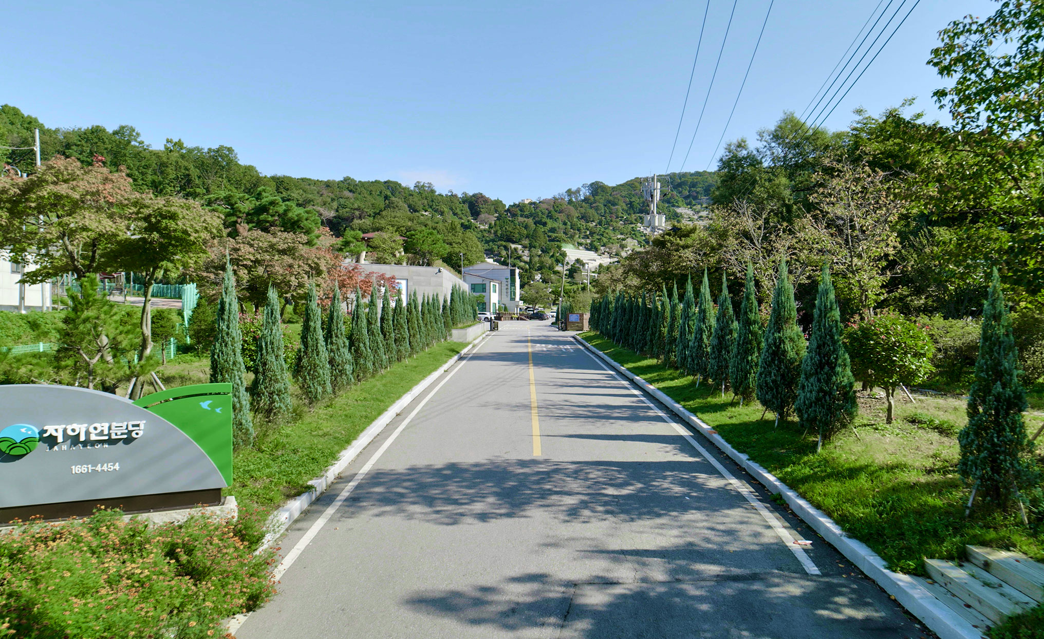 자하연 분당전경