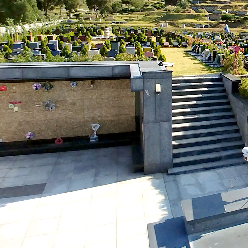 자하연 분당전경